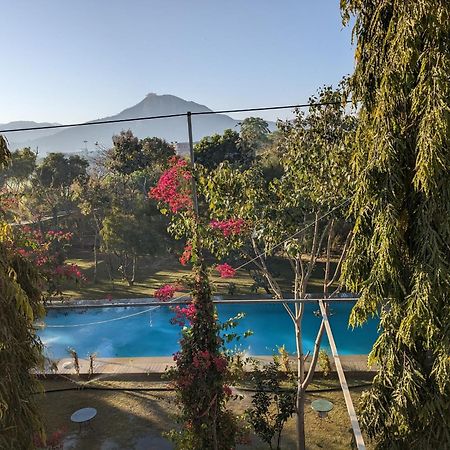 Pushkarorganic - Lux Farm Resort With Pool Eksteriør billede