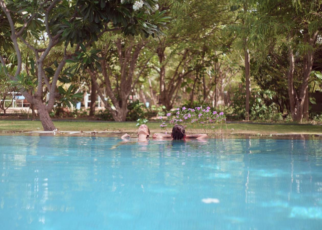 Pushkarorganic - Lux Farm Resort With Pool Eksteriør billede