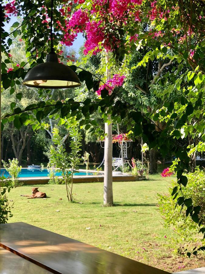 Pushkarorganic - Lux Farm Resort With Pool Eksteriør billede