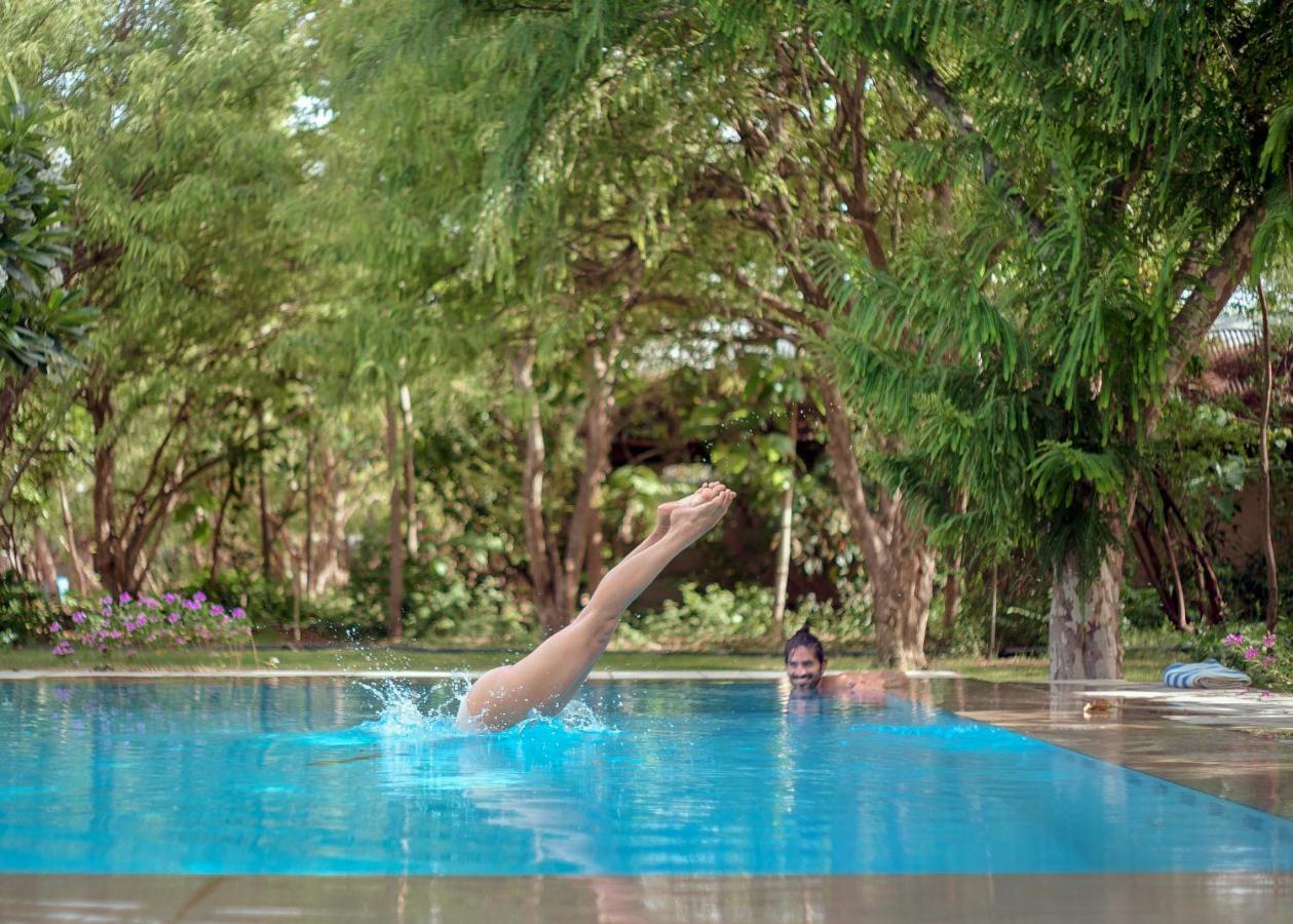Pushkarorganic - Lux Farm Resort With Pool Eksteriør billede