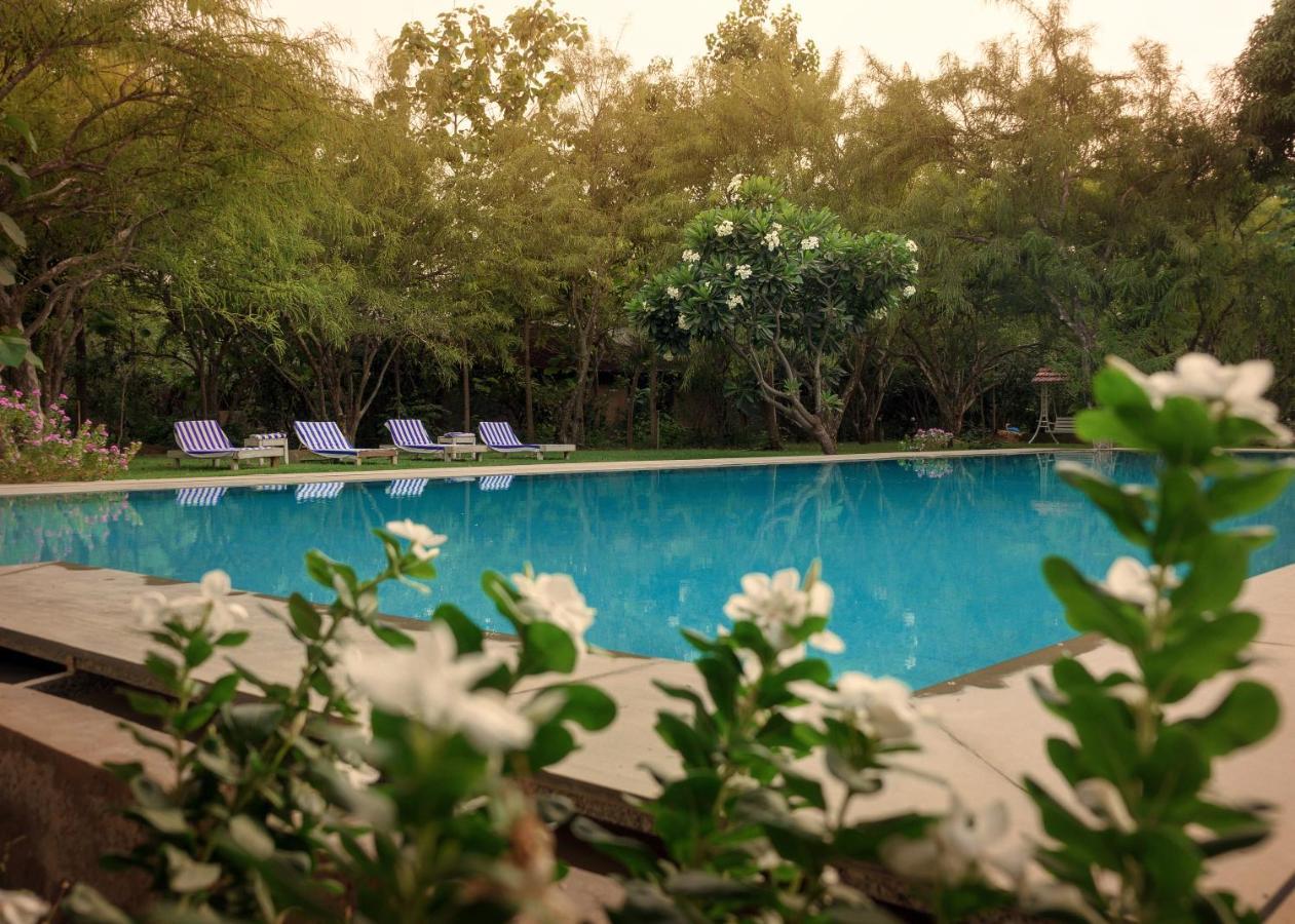 Pushkarorganic - Lux Farm Resort With Pool Eksteriør billede
