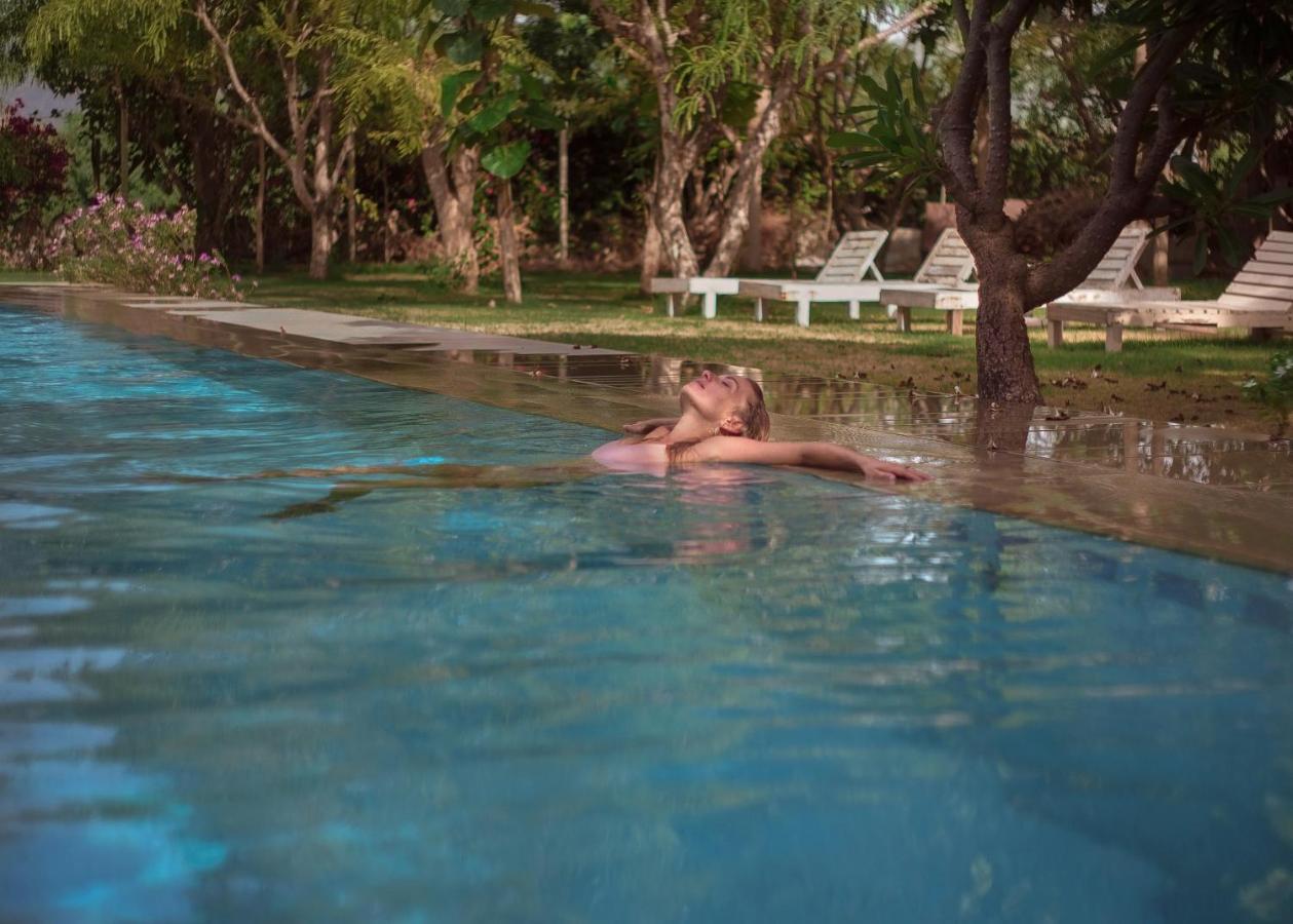 Pushkarorganic - Lux Farm Resort With Pool Eksteriør billede