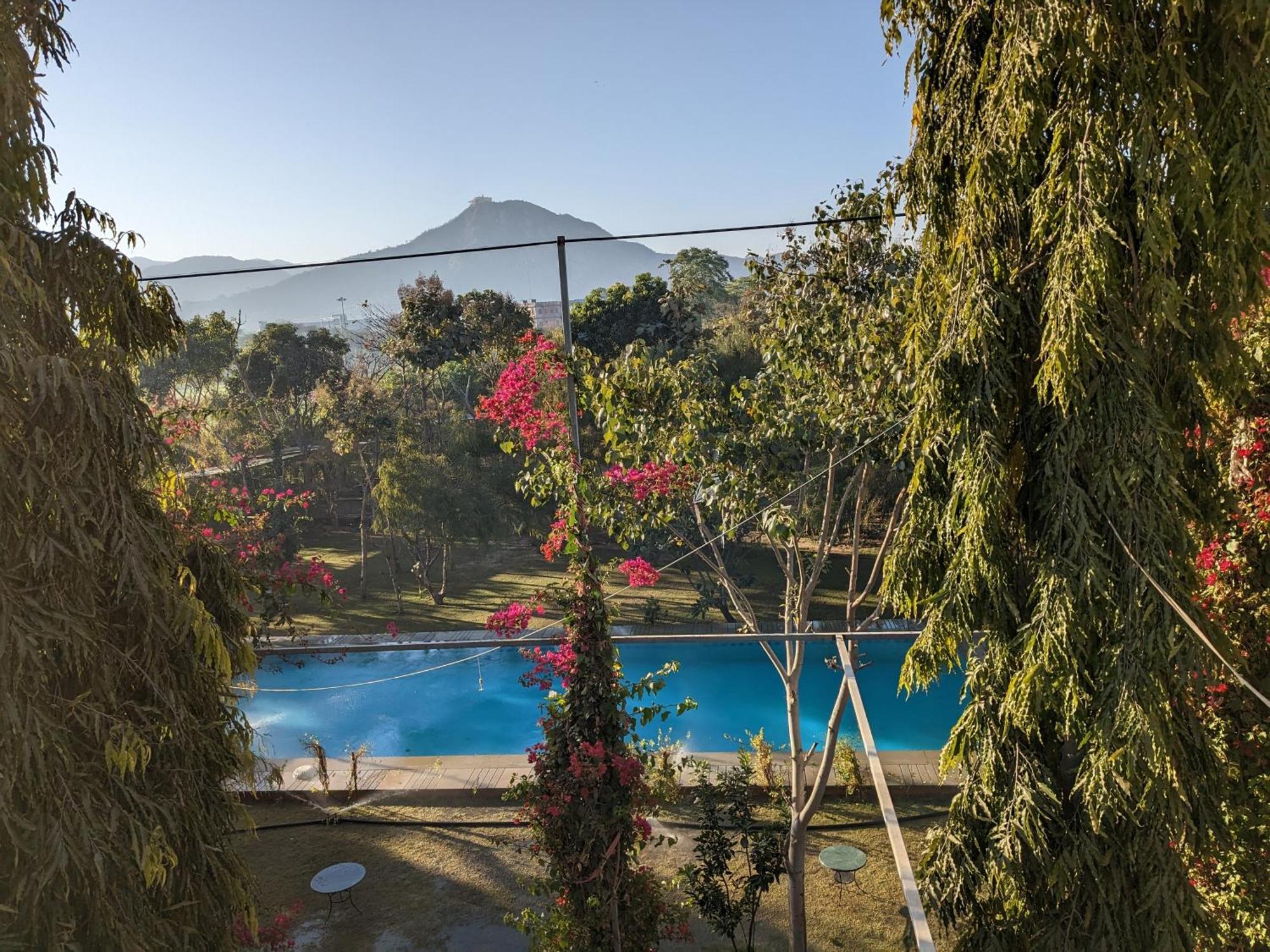 Pushkarorganic - Lux Farm Resort With Pool Eksteriør billede